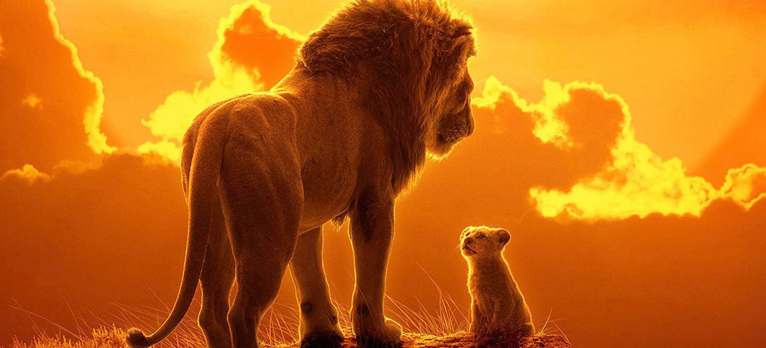 León con su cachorro en un atardecer